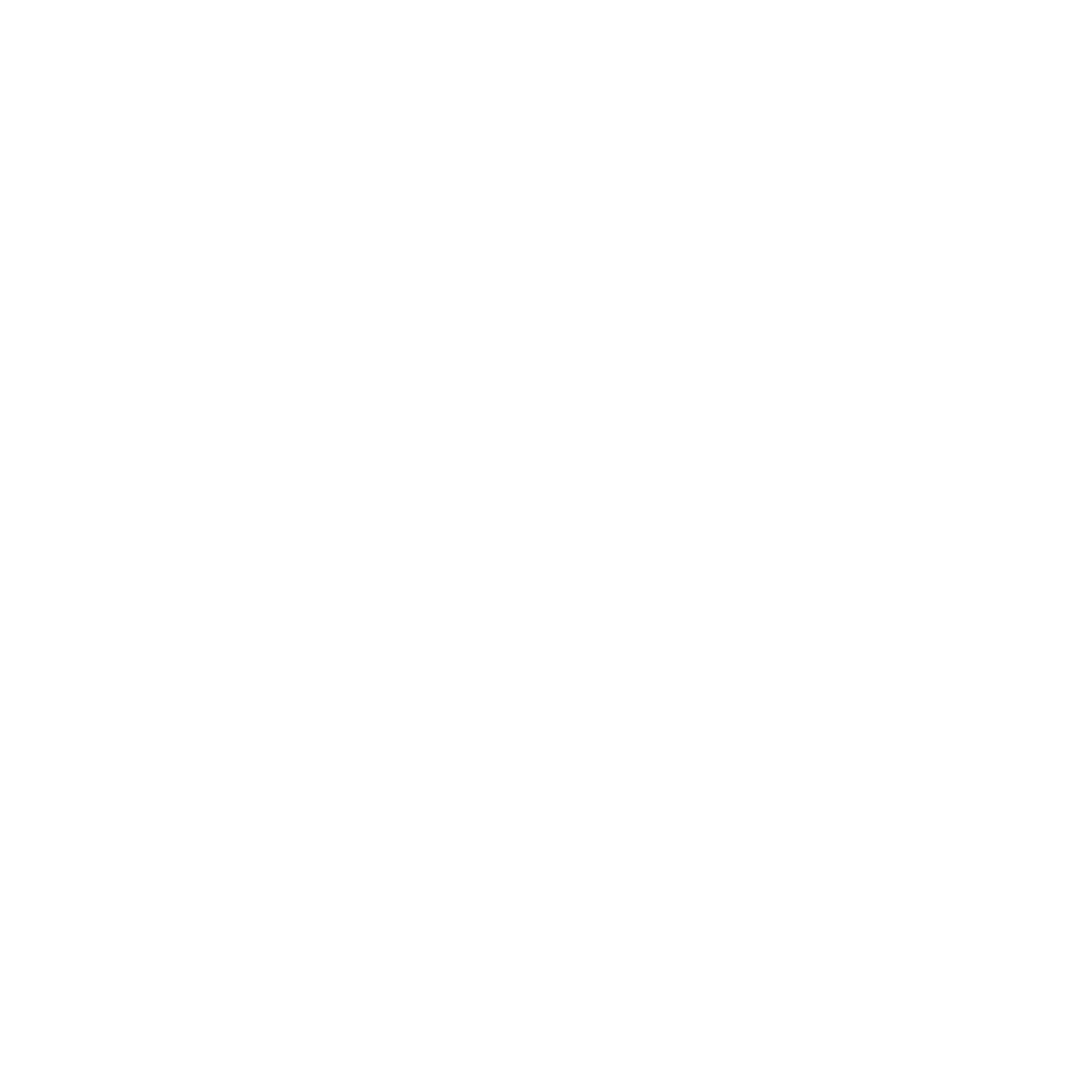 Brigada Misional